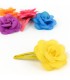 Clips Pelo con Flor