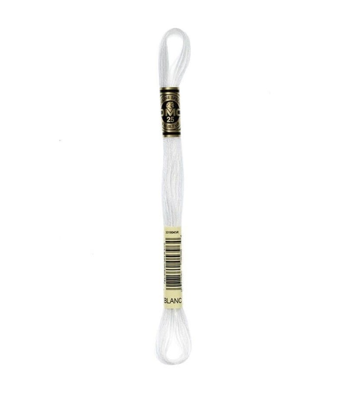 Hilo Mouliné Spécial DMC Blanco