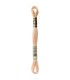 Hilo Mouliné Spécial DMC Beige 945
